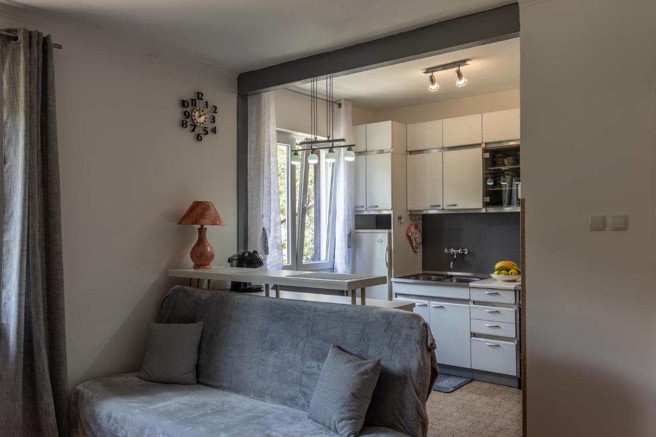 Apartman Danijela Zagorje Exterior photo